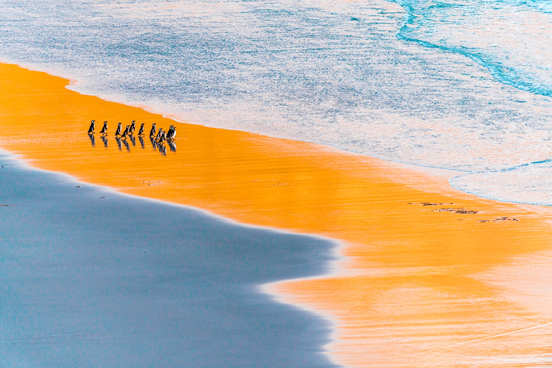 自然就是美,自然就是美歌曲