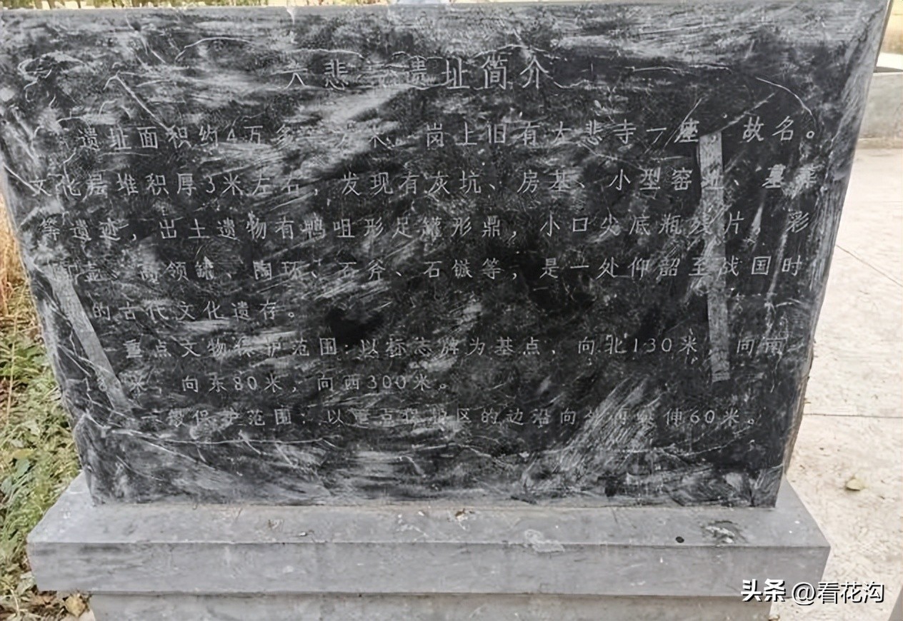 195.河南省舞阳县的概况