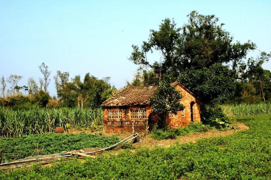 其实并不是放不下只是不想留遗憾,人生最遗憾的事情