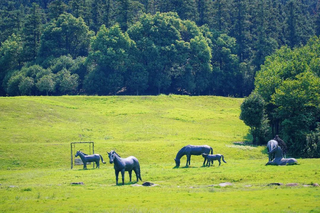 安吉亲子旅游必去的景点,安吉最新亲子旅游度假