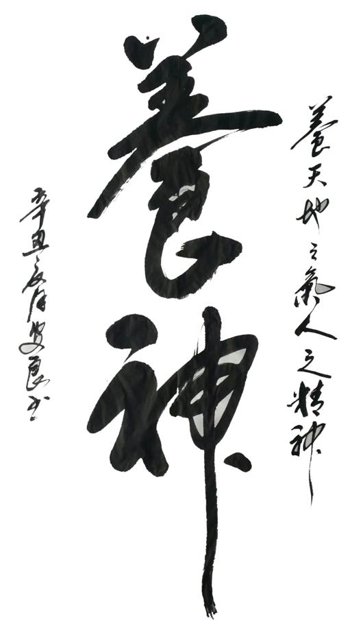 赵安书法作品欣赏大全,赵安良书法