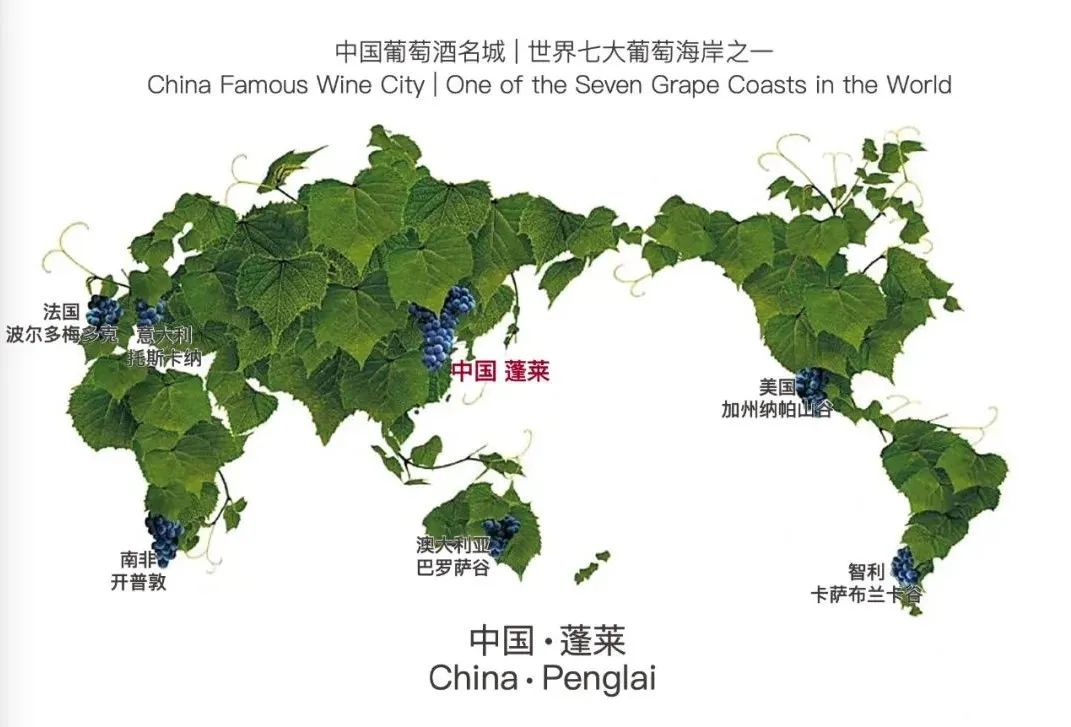 拉菲蓬莱珑岱酒庄正式开庄,拉菲蓬莱敦岱酒庄