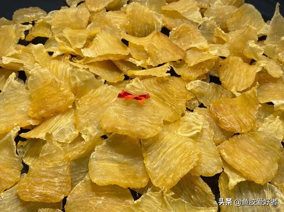 鱼胶正确的选择方法有哪些,鱼胶怎么挑选才是好的