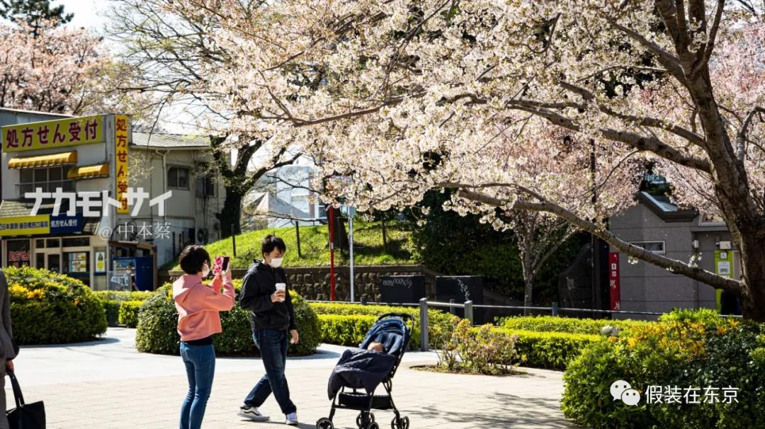 365张照片回顾,365张相片