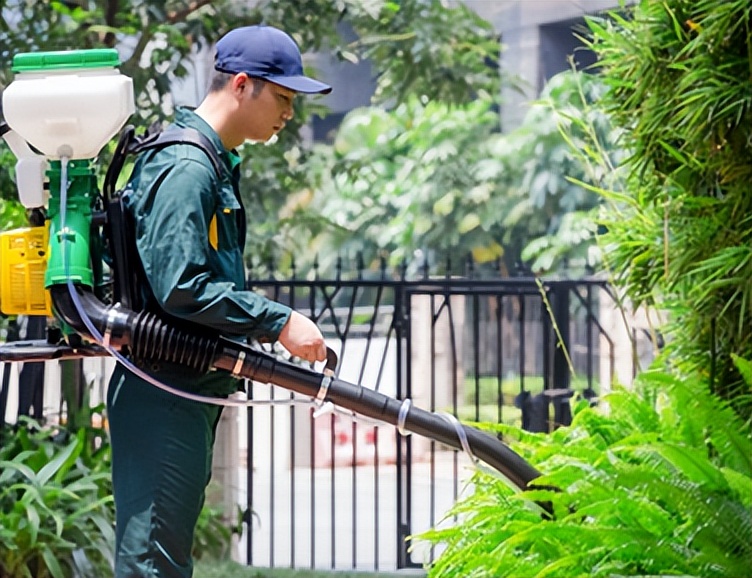 家政加盟项目推荐2021排行榜,3线城市开家政需要加盟什么品牌