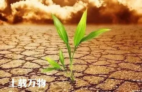 中医金木水火土相生关系,中医里的金木水火土怎么解释