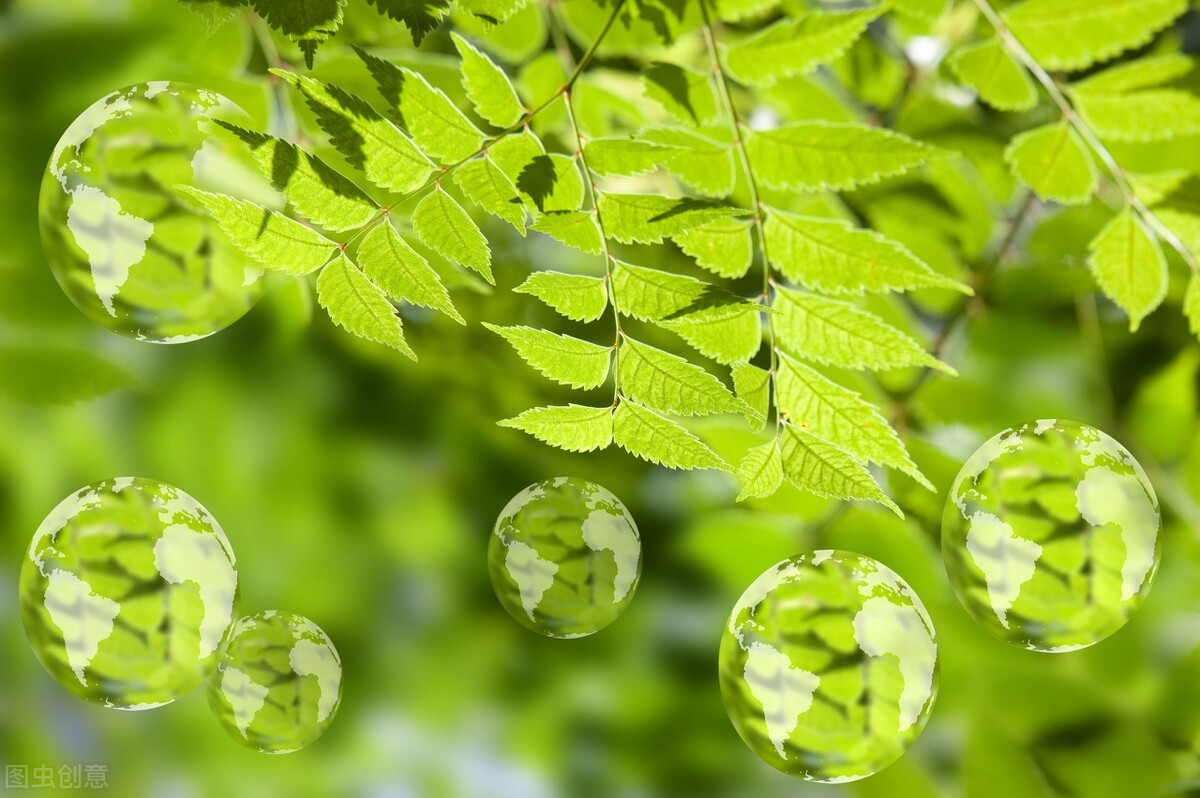 除甲醛最简单有效的方法是什么,除甲醛最有效的方法内行人都在用