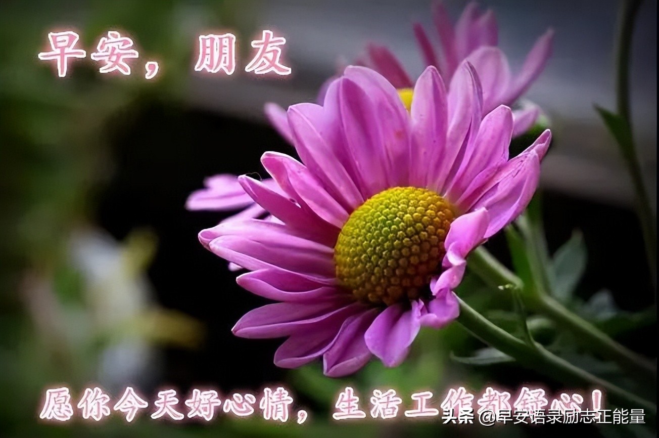 早安心语心灵鸡汤句句经典入心,早安的心灵鸡汤正能量短文