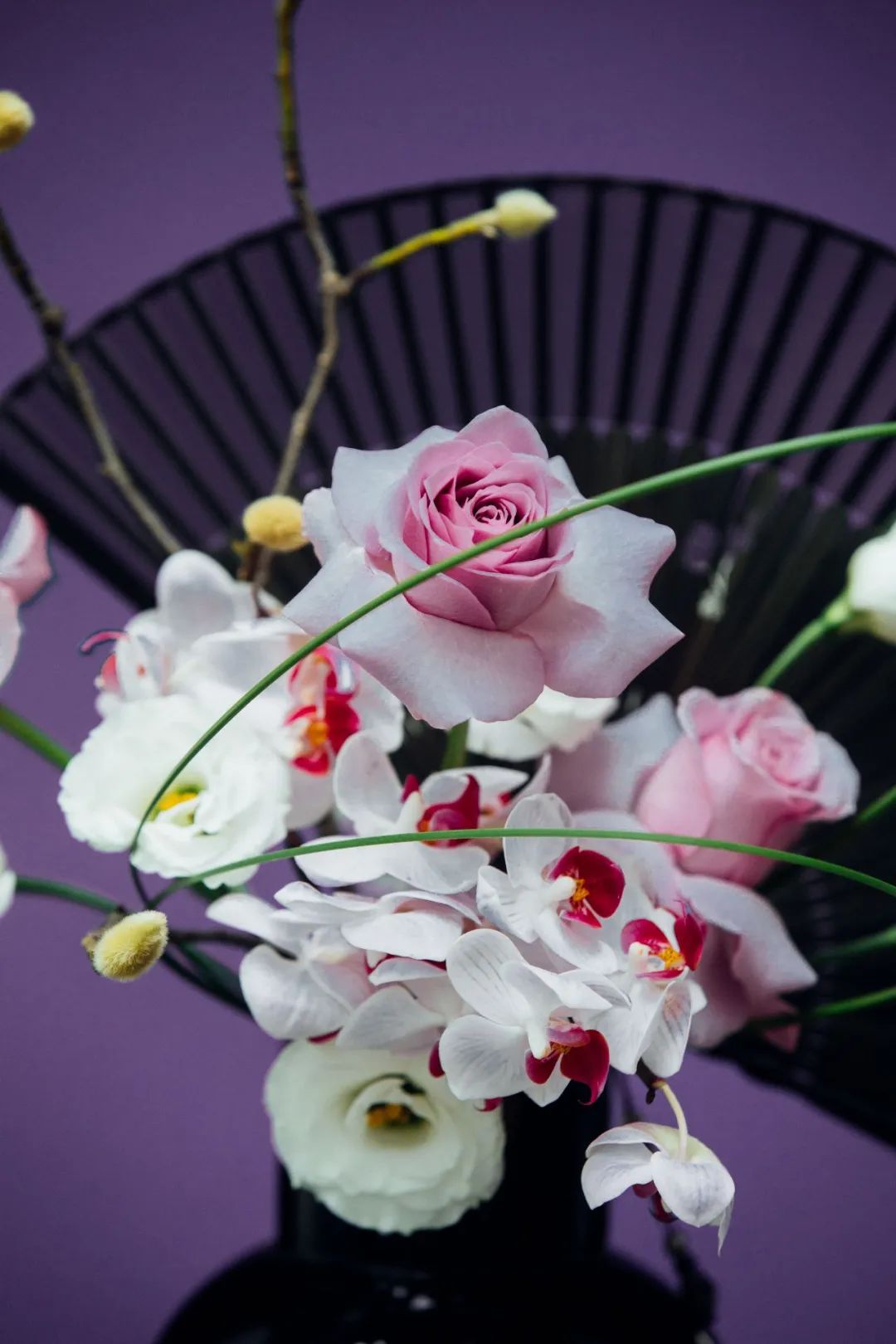 新手怎么选购鲜花呢,新手鲜花种类怎么选