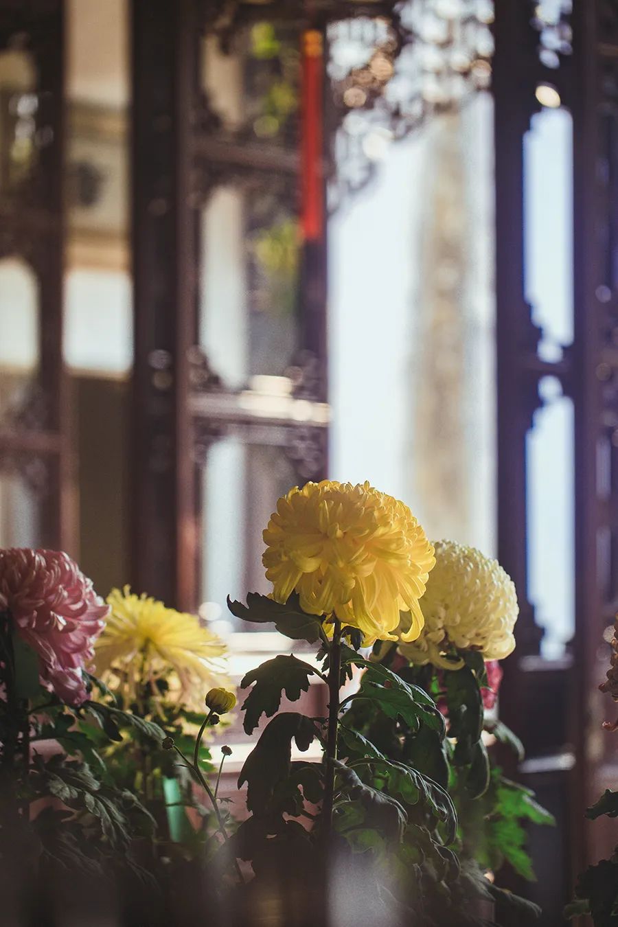 倾情荐读：时间的名字