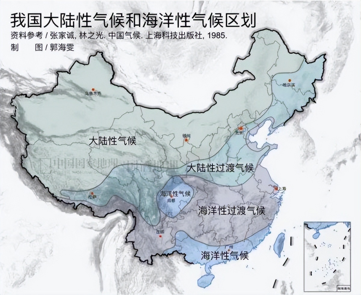 水井坊1号菌群,水井坊一号