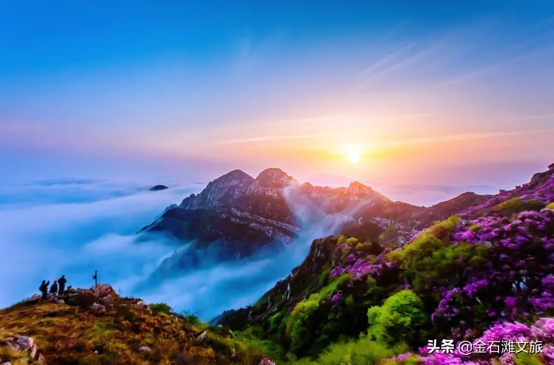 开发区金石滩最新消息,金石滩2019年项目