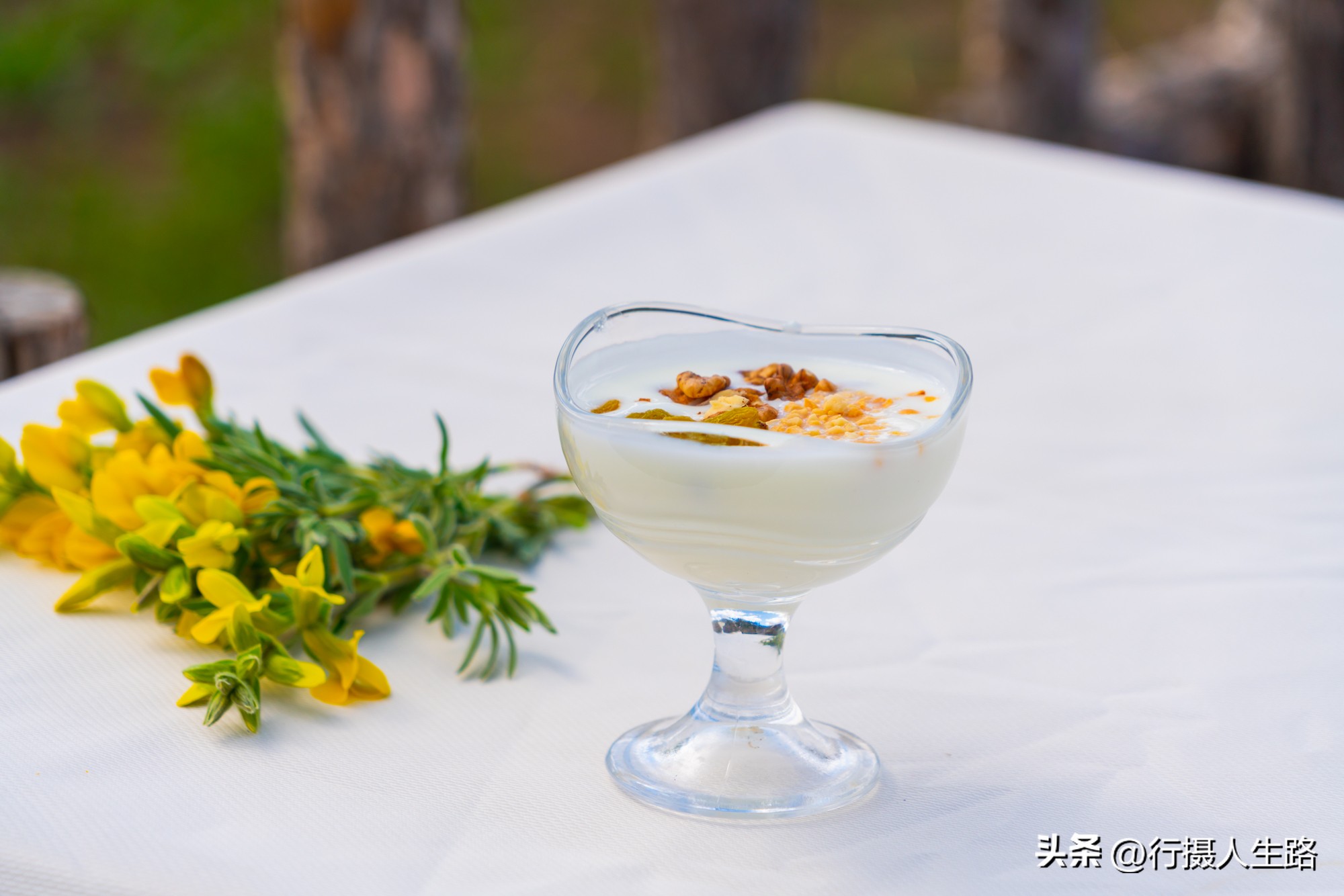一路向北去追寻夏日美景,一路向北去呼伦贝尔大草原
