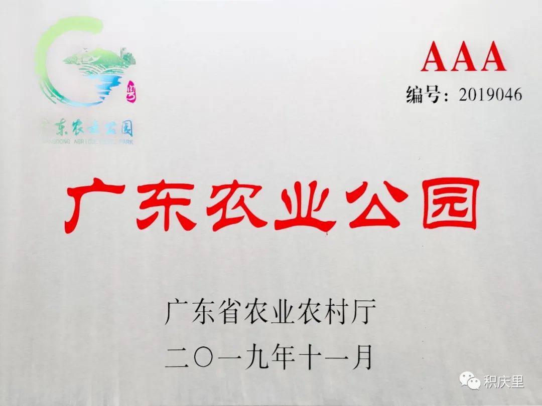 樱花烂漫，没有人会拒绝的粉色浪漫！