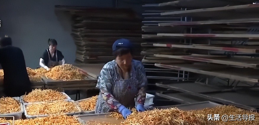 鐝嶅铏崏,鐝嶅杈藉懗澶ц繛