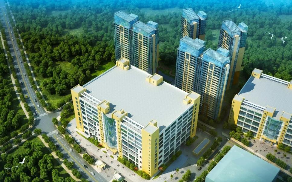 伯恩光学2023年,伯恩光学深度解析