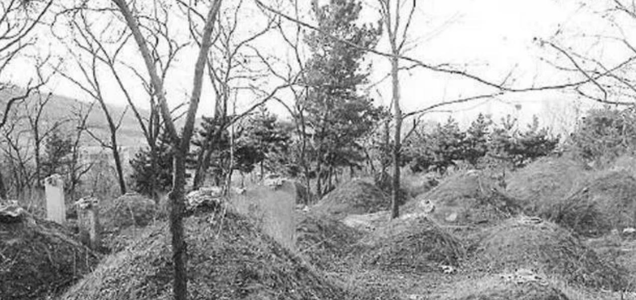 安徽一地多人遭雷击2人身亡,2003年安徽村民遭雷劈死亡