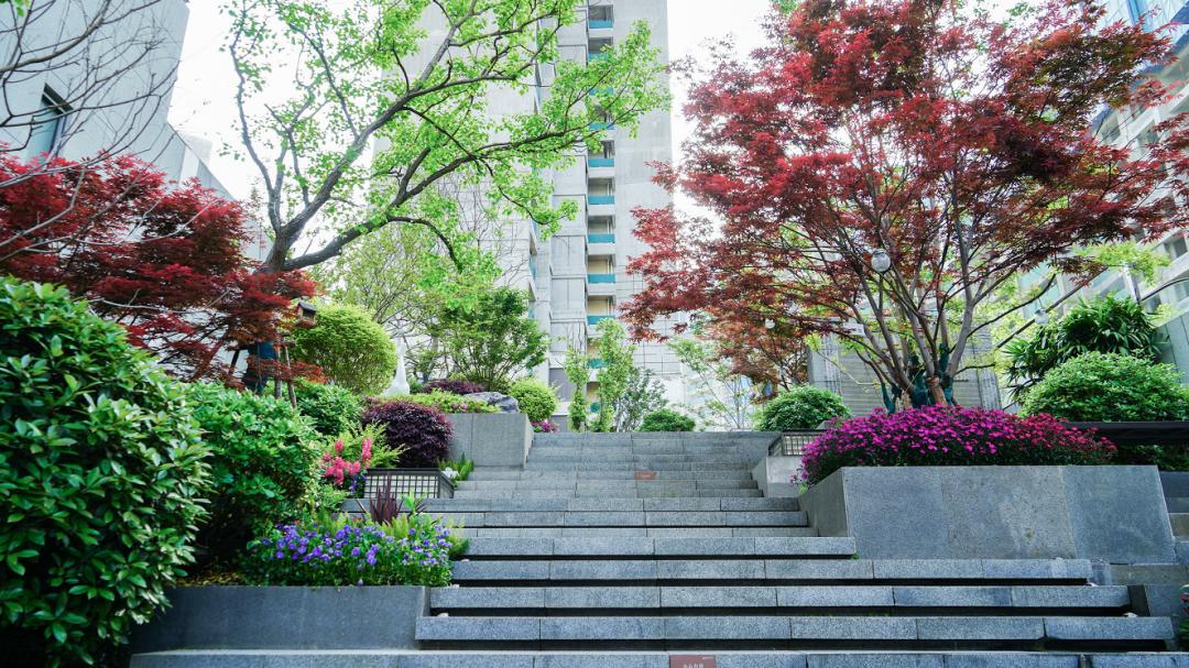 买个顶楼担心卖不掉,大家都不愿意买顶楼的原因