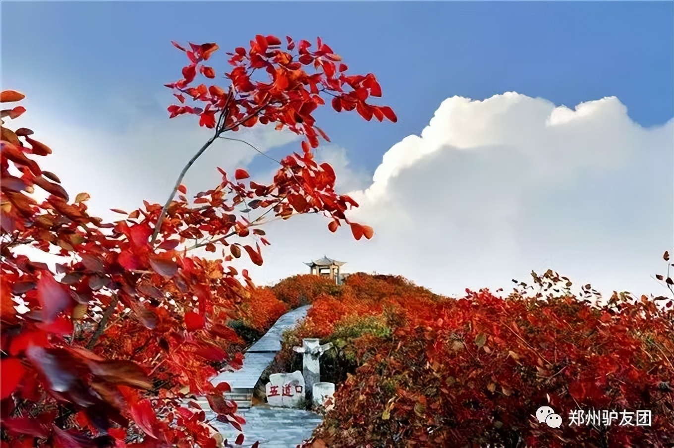 郑州最近赏红叶最佳的地方,靳家岭红叶和长寿山红叶哪个好看