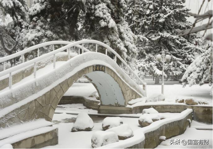 东北大学面积,美国东北大学