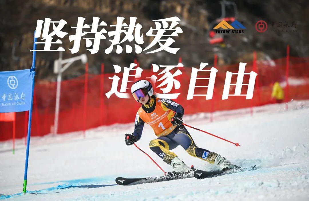 在热爱的领域闪闪发光素材,在热爱的行业里闪闪发光