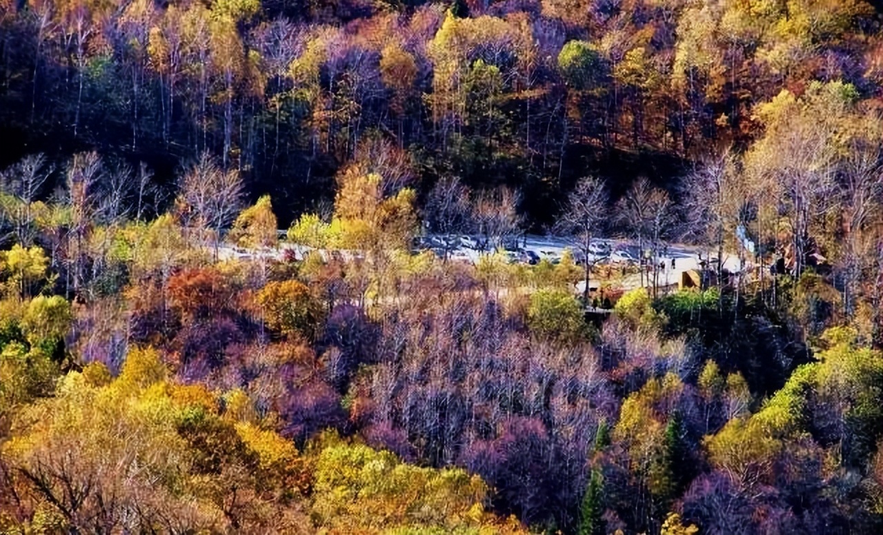 黑龙江十大夏季避暑旅游景点,黑龙江养老避暑地方