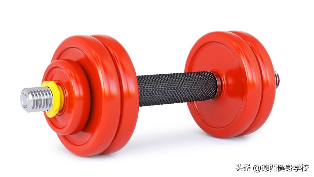 哑铃锻炼方法图解全套健身,哑铃新手健身锻炼动作大全