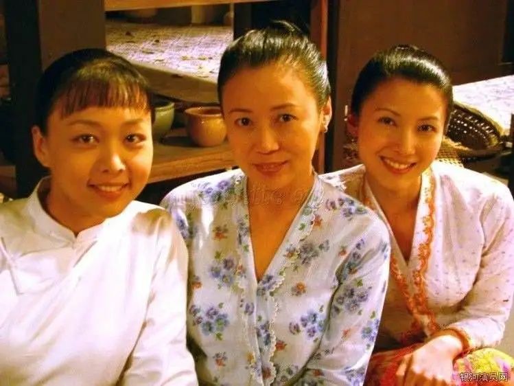 新加坡演员范文芳近况,陈莉萍范文芳电视剧