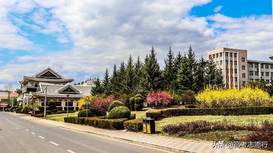 12所双一流66所大学,两所大学985211