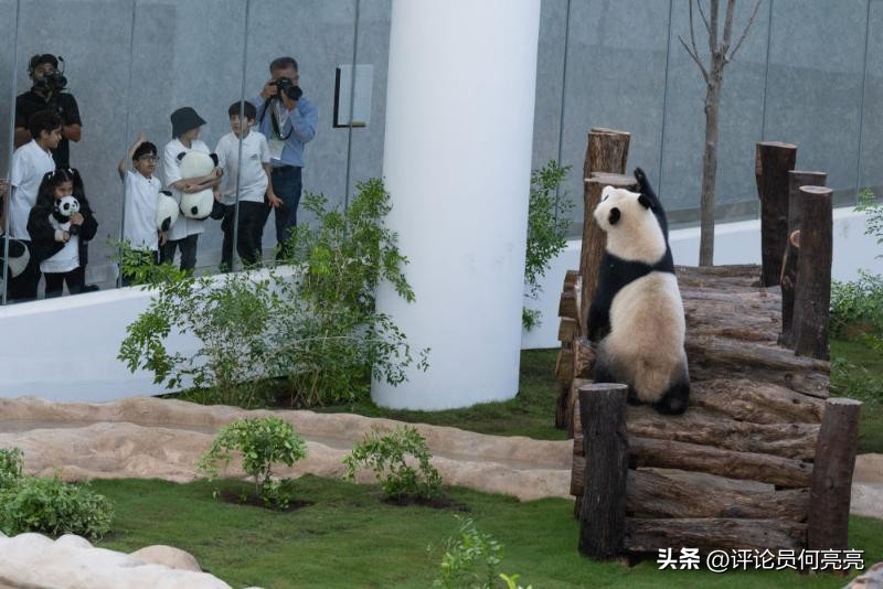 卡塔尔世界杯赛场呈现的中国元素,卡塔尔世界杯开幕式场馆图片