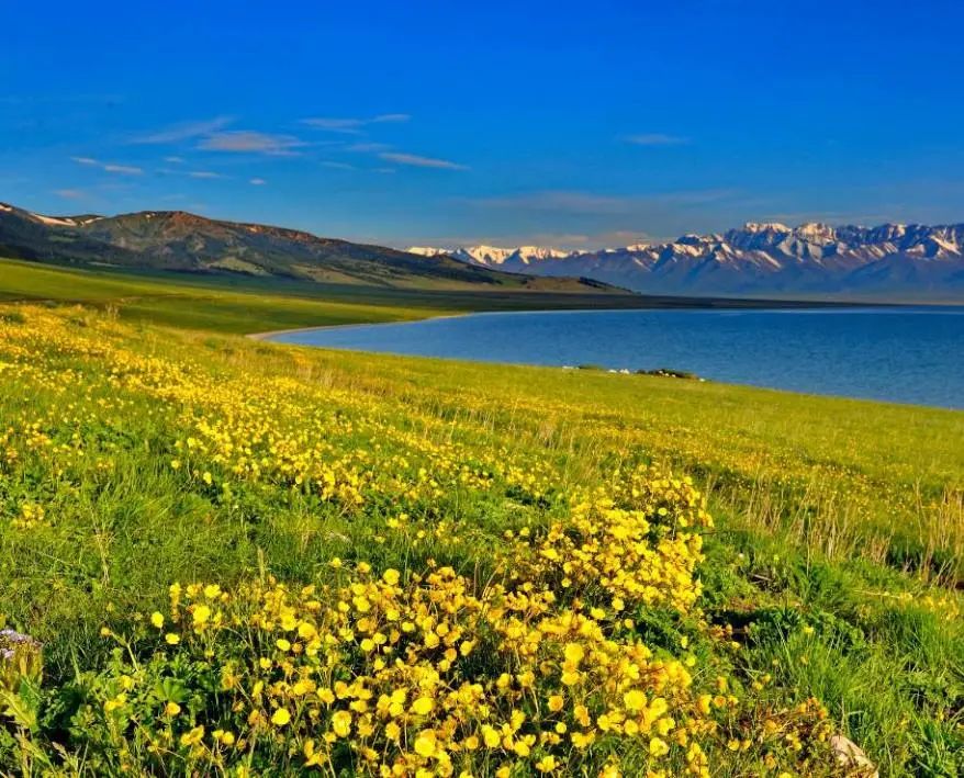 这条惊艳奇绝的公路,行走在天山脊梁上的最美景观公路