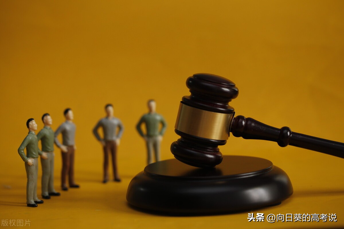 法学二级学科对当律师有影响吗,学了法学未来有哪些前途