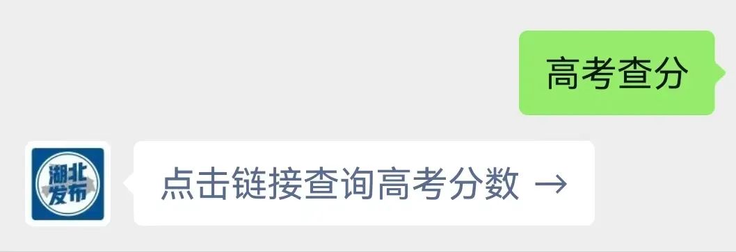 官方高考查分平台,高考查分在什么网站上查