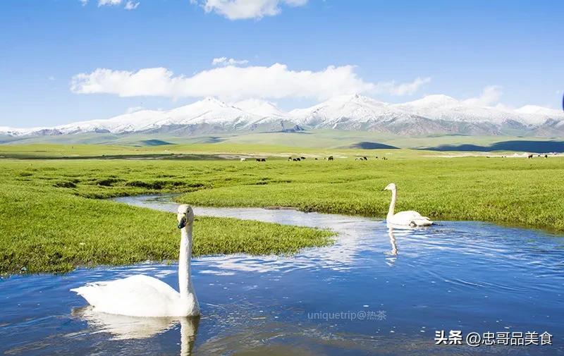 日落晚霞映照九曲十八弯,日落黄昏的九曲十八弯