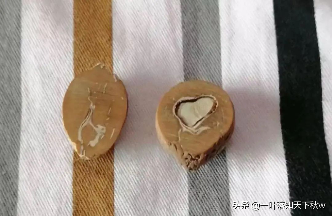 这四种文玩越玩越值钱你有吗,能盘透的几种文玩