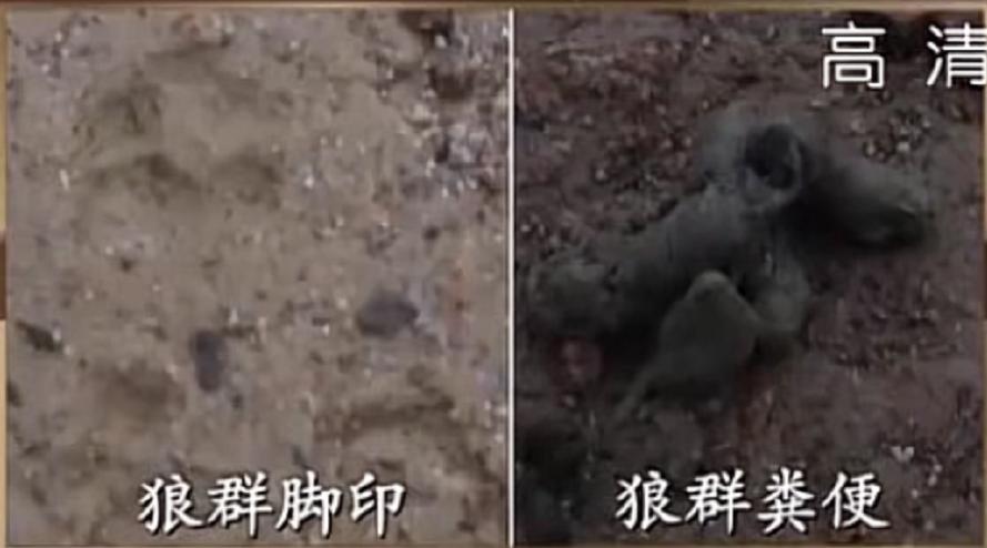 柴达木怪湖之谜,青海湖恶魔之眼为什么吸引动物