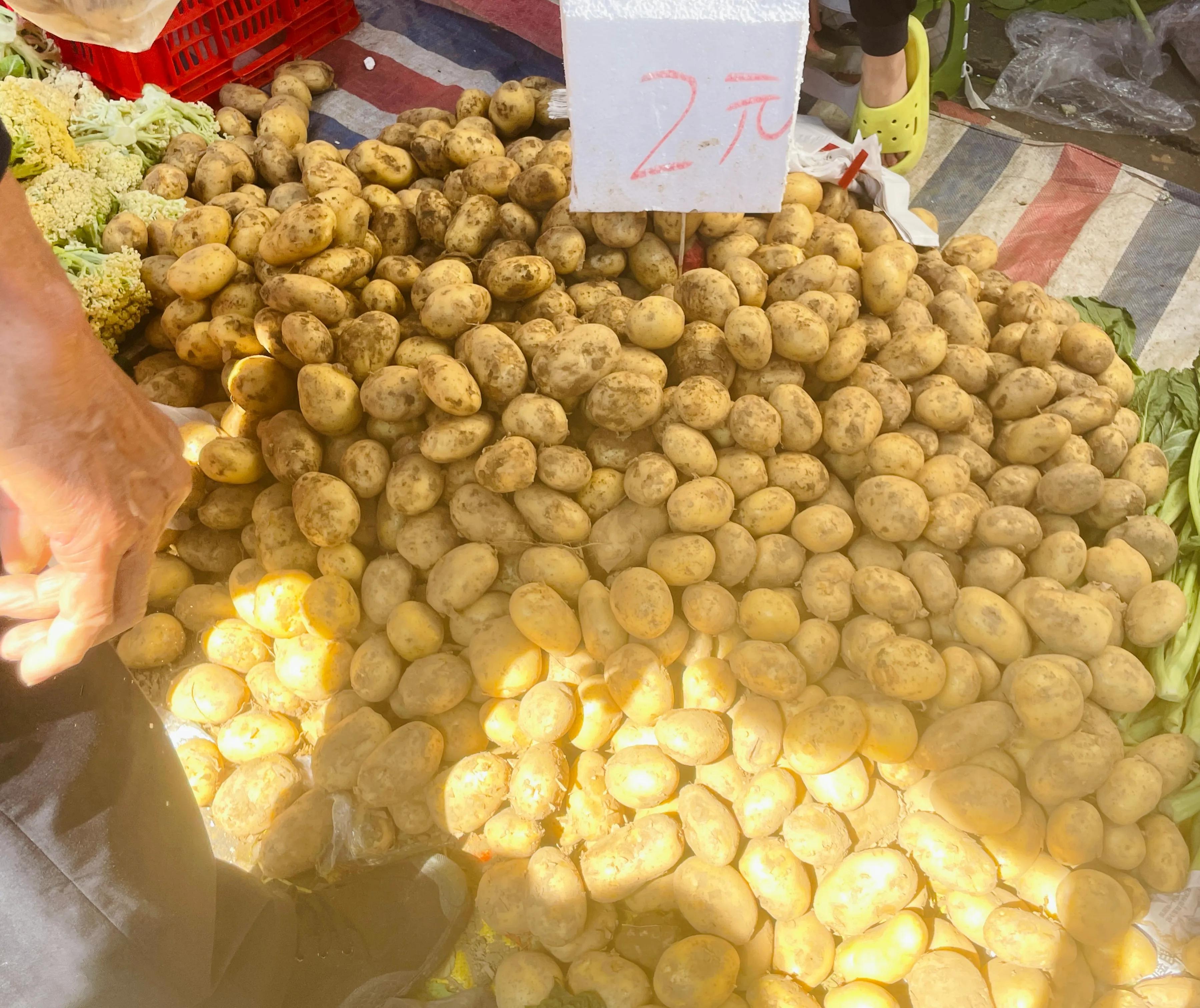 顺德三洲市场蔬菜,顺德伦教三洲市场圩日