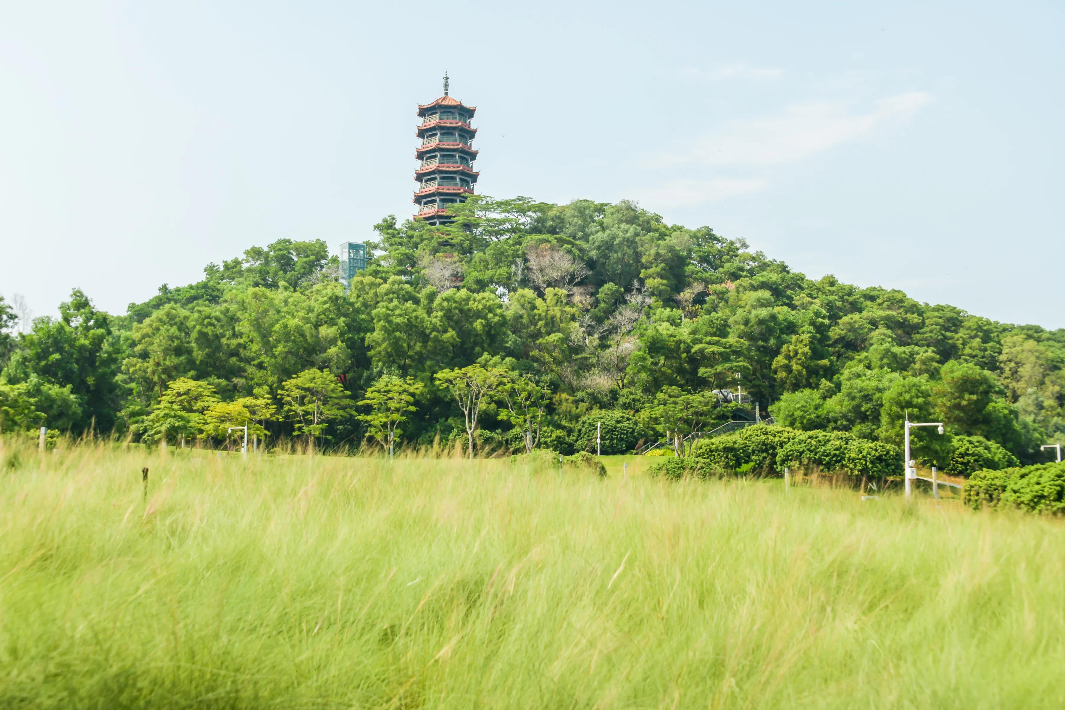 网红森林公园旅游,周日网红公园一游