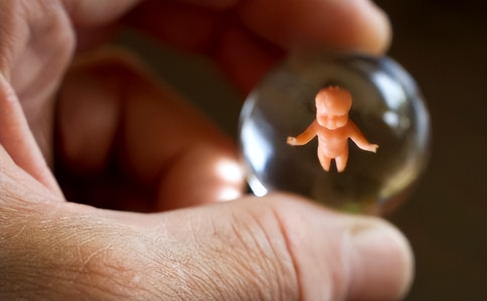 “人工受精”与“人工授精”，到底有什么区别？看完涨知识