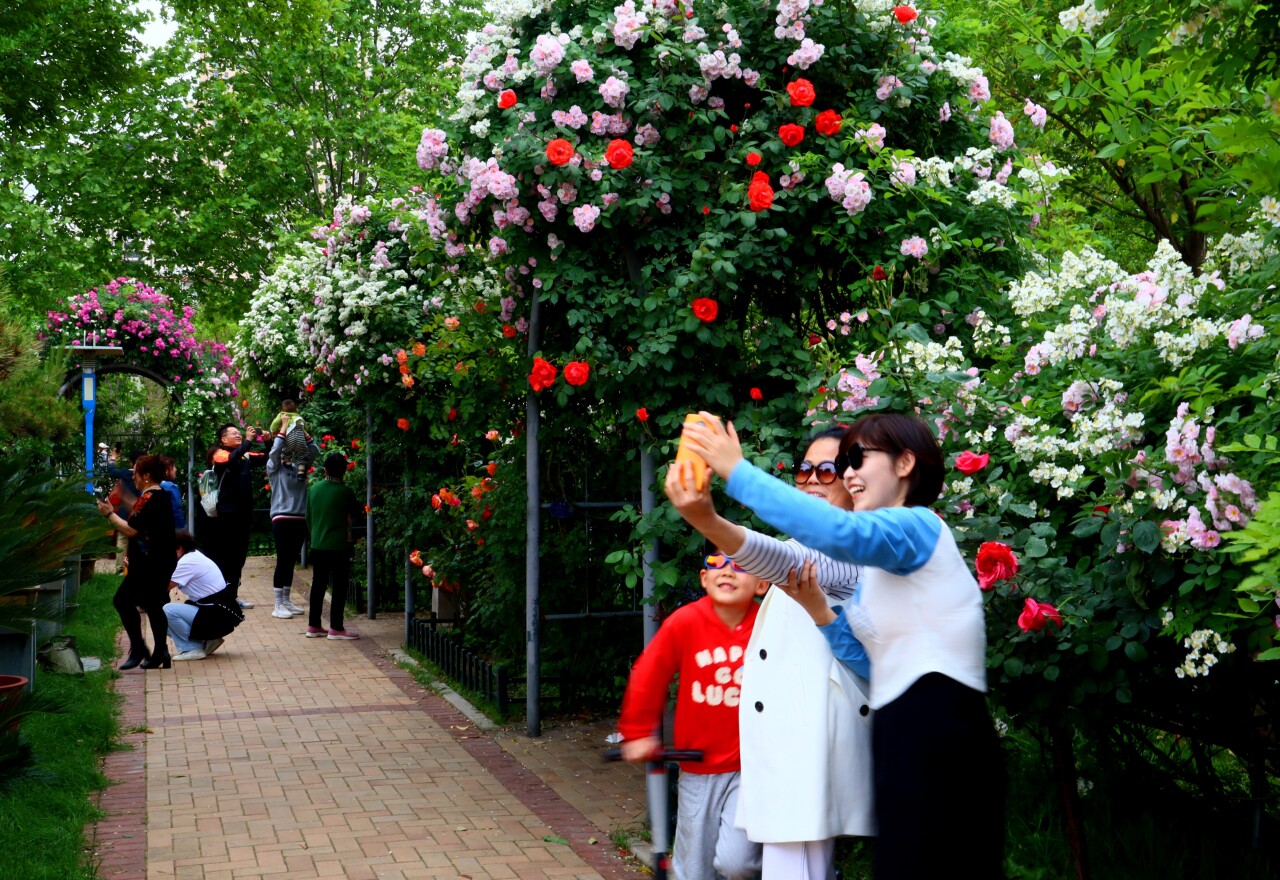 济南有隐秘的角落公园,推荐济南6处鲜为人知的小众之地
