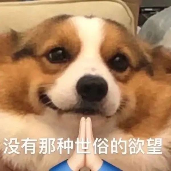 安乐死总体看法,安乐死可以不治疗吗