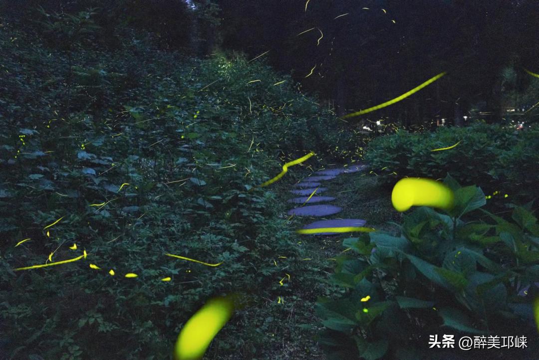 天台山避暑推荐,五一去天台山凉快吗