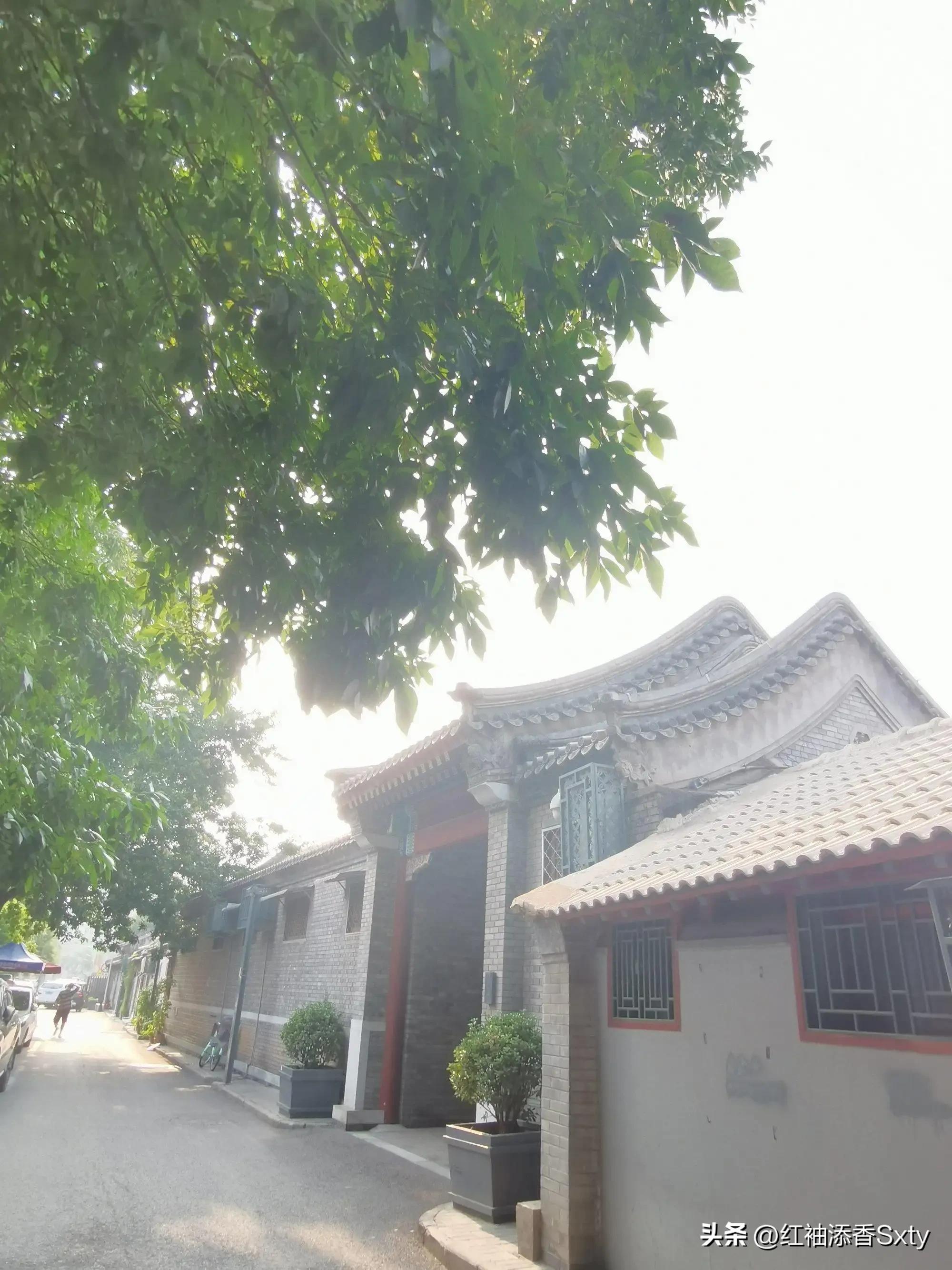 北京胡同一日游最佳攻略遛娃,北京胡同一日游攻略自由行