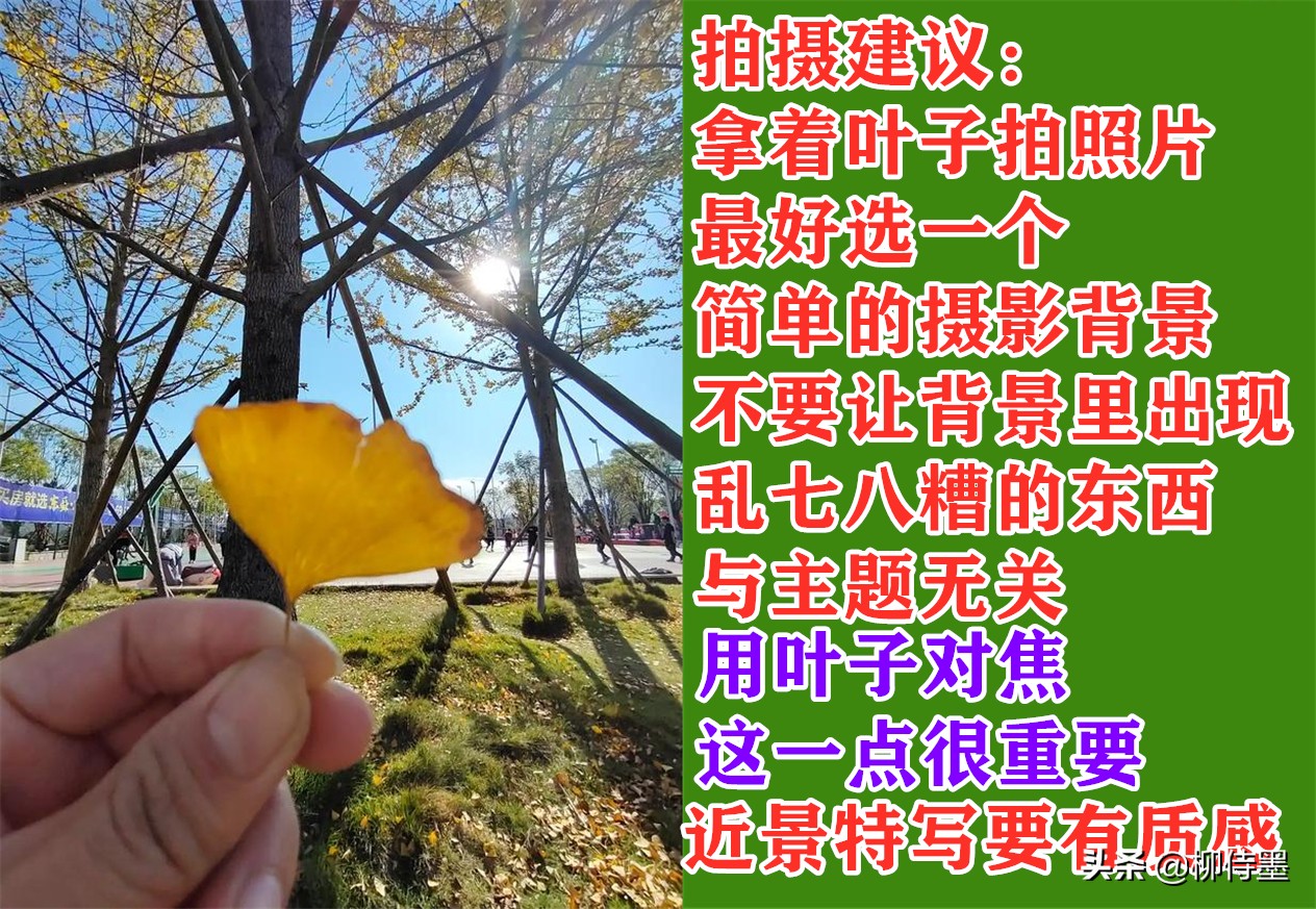 手机拍照片有哪些优点和缺点？3个摄影技巧，助你扬长避短