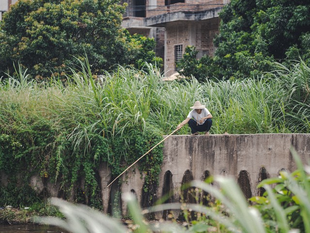 姨夫和姑父什么区别,姨夫和姑父哪个有血缘关系