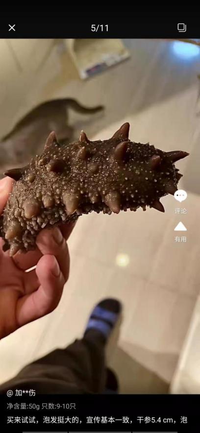 带你了解海参的几个小常识,对于海参的说法你知道几种