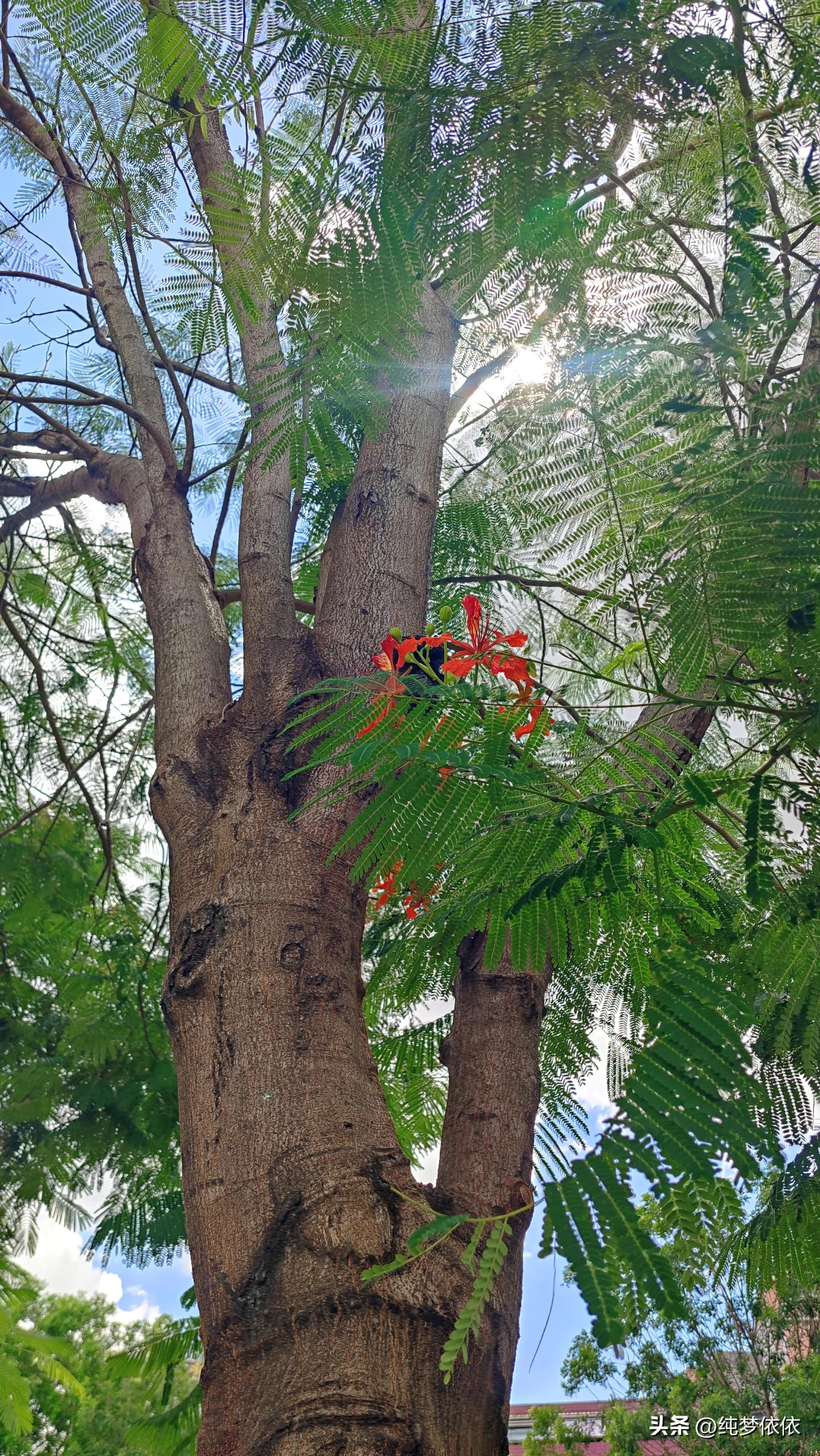 夏天随手一拍就是最好的画面,这张照片勾起了夏天的美好时光