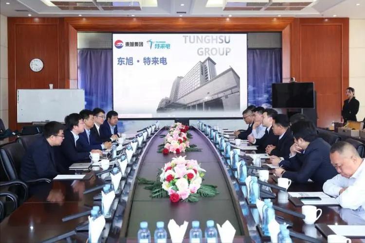 东旭集团深度分析,东旭集团如何应对当前的债务危机