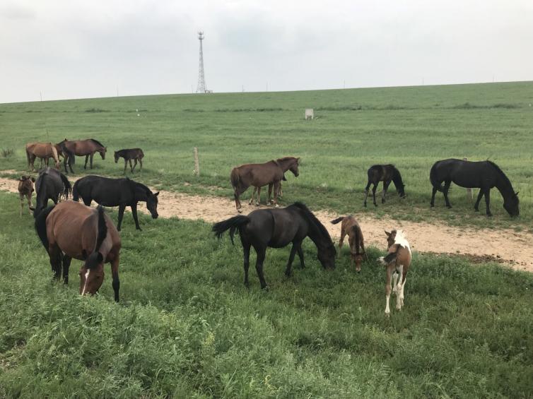 北京周边游一日游的好去处自驾游,从北京去西藏自驾游最佳路线图