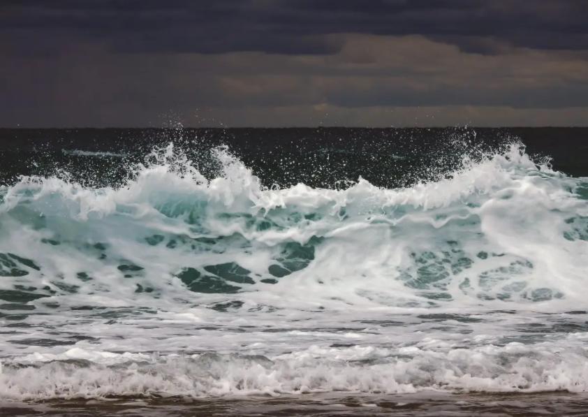 深海发现生物人类重新思考,科普深海8000米的神秘生物